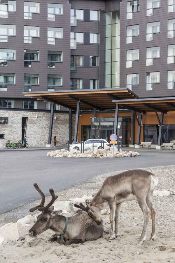 Отель Hotel Levi Panorama & Levi Chalets Леви